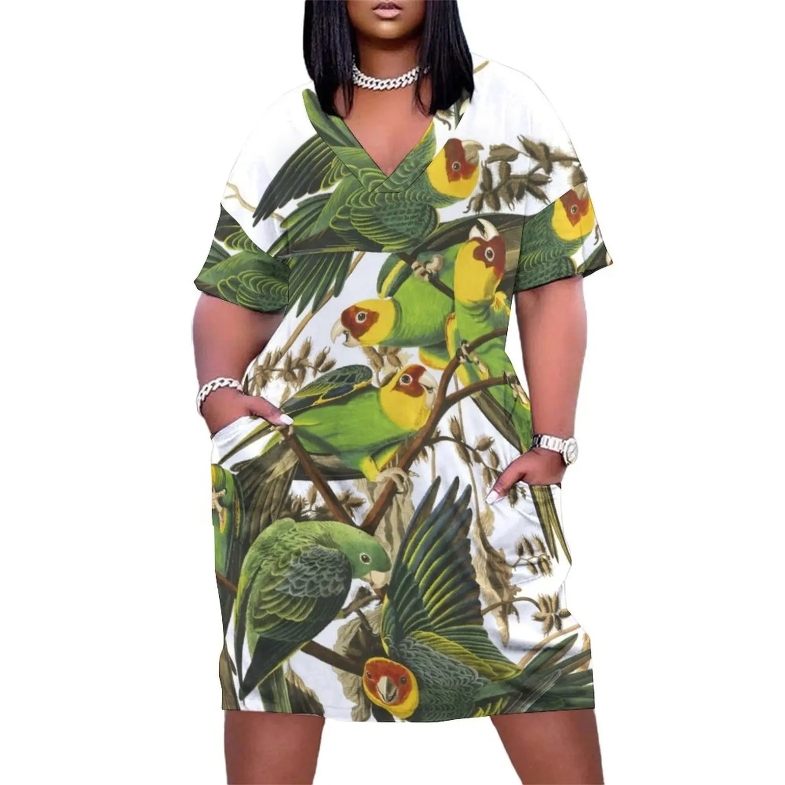 Carolina Parakeet - John James Audubon Loose Pocket Dress dress women summer 2025 Long dress