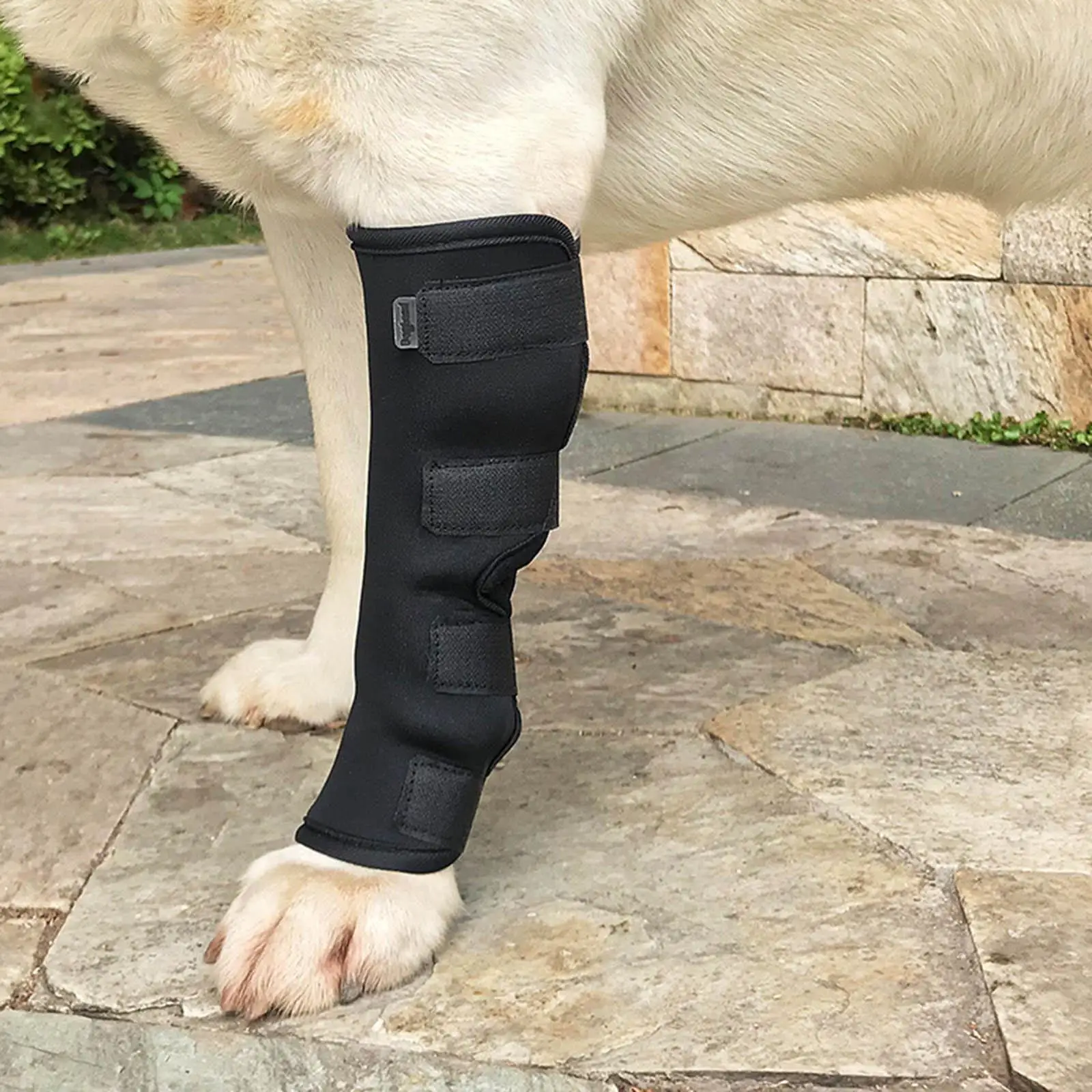 Dog Support Leg Brace Breathable Pet Elbow Knee Pad Canine Recovery Sleeve Wrist Guard for Dogs Accessories Sprain Protection