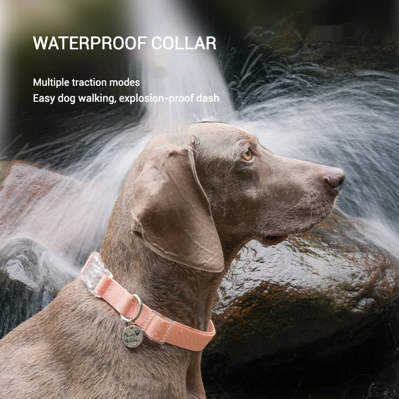Waterproof Series Dog Collar Leash Harness Adjustable Collar Length Durable Small Dogs Medium Dogs Large Dogs Shiba Inu