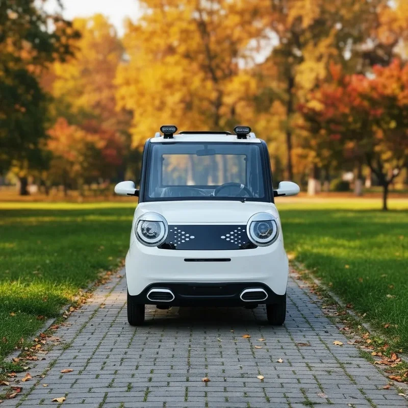 2026 Hot Sale LTL EV Low Speed 4-Wheeler Car 4 1000W High Quality Conditioning No License Elder