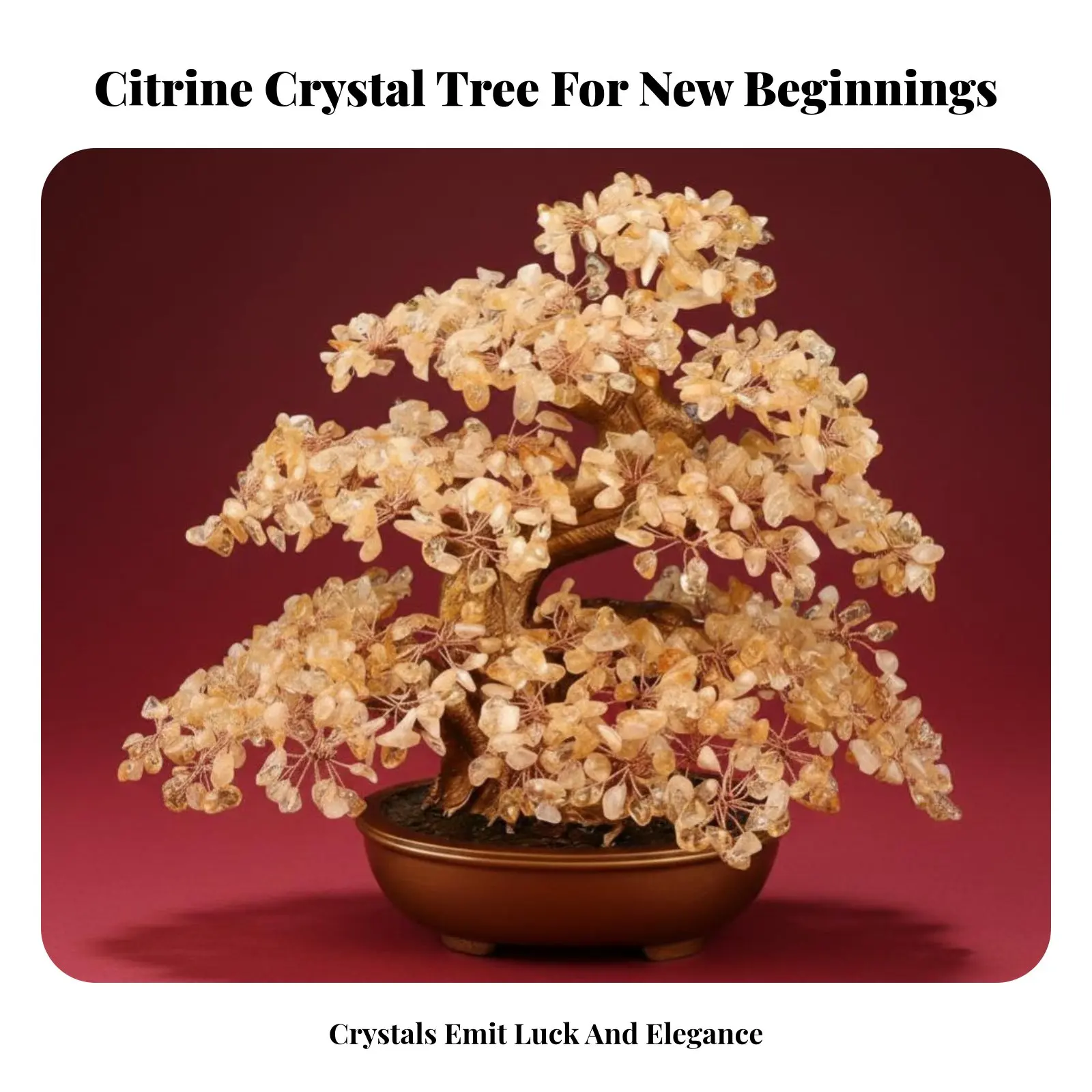 Handmade Crystal Money Tree, Crystal Bonsai, Wealth & Fortune, Housewarming, Business Opening Decoration view 4