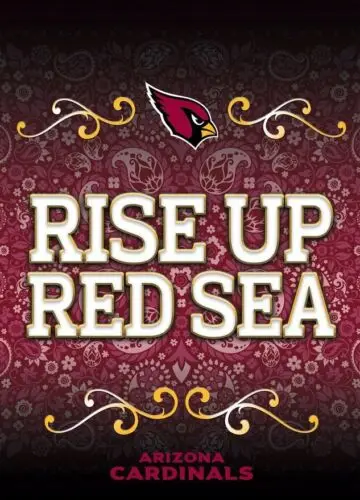 Arizona Cardinals Garden Flag Officially Licensed Paisley