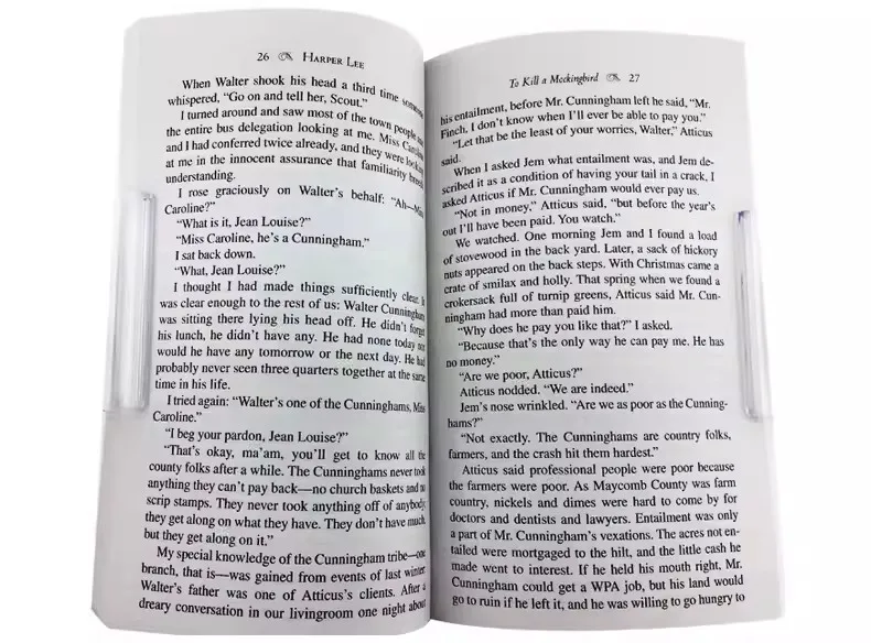 To Kill a Mockingbird, versión Original en inglés, libro de Literatura Extranjera