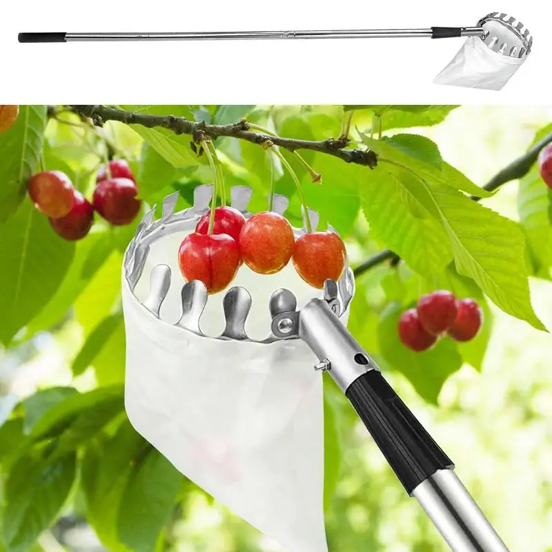 Fruit Picker Pole Adjustable Fruit Picker With Telescopic Handle Stainless Steel Adjustable Grabber Reacher Tool For Picking