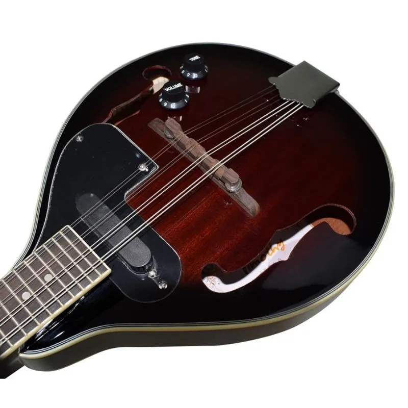 Electroacoustic mandolin Western musical instrument, mandolin, electroacoustic mandolin