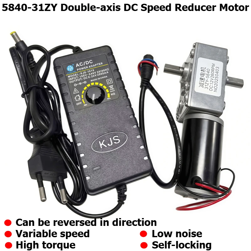 5840-31ZY Miniature DC Speed Reduction Motor with Double Output Axes, 12V/24V Adjustable Power Supply, Power Cord