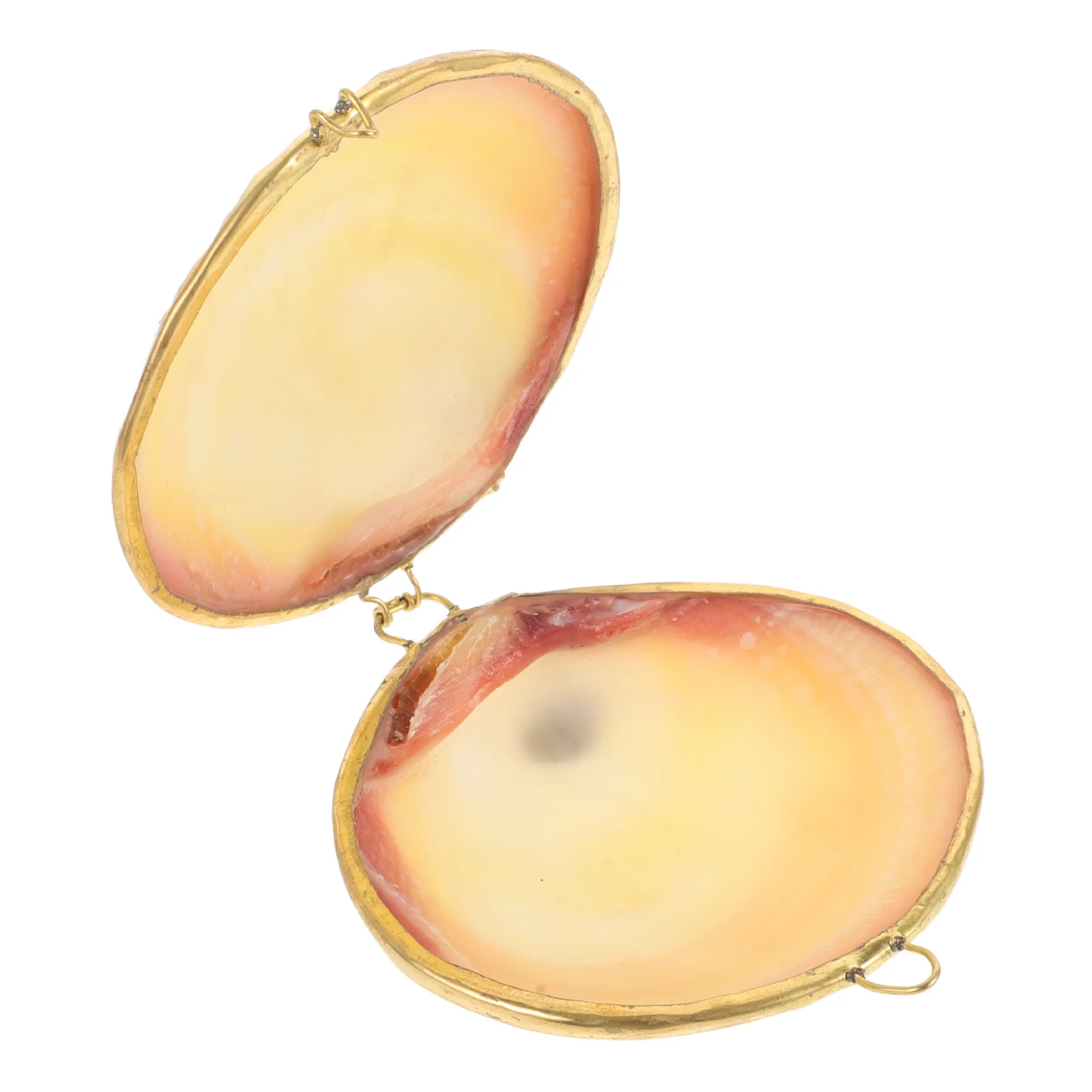 

Shell Jewelry Box Ring Holder Seashell Shaped Container Necklace Bracelet Organizer Portable Lightweight Home Decor Display