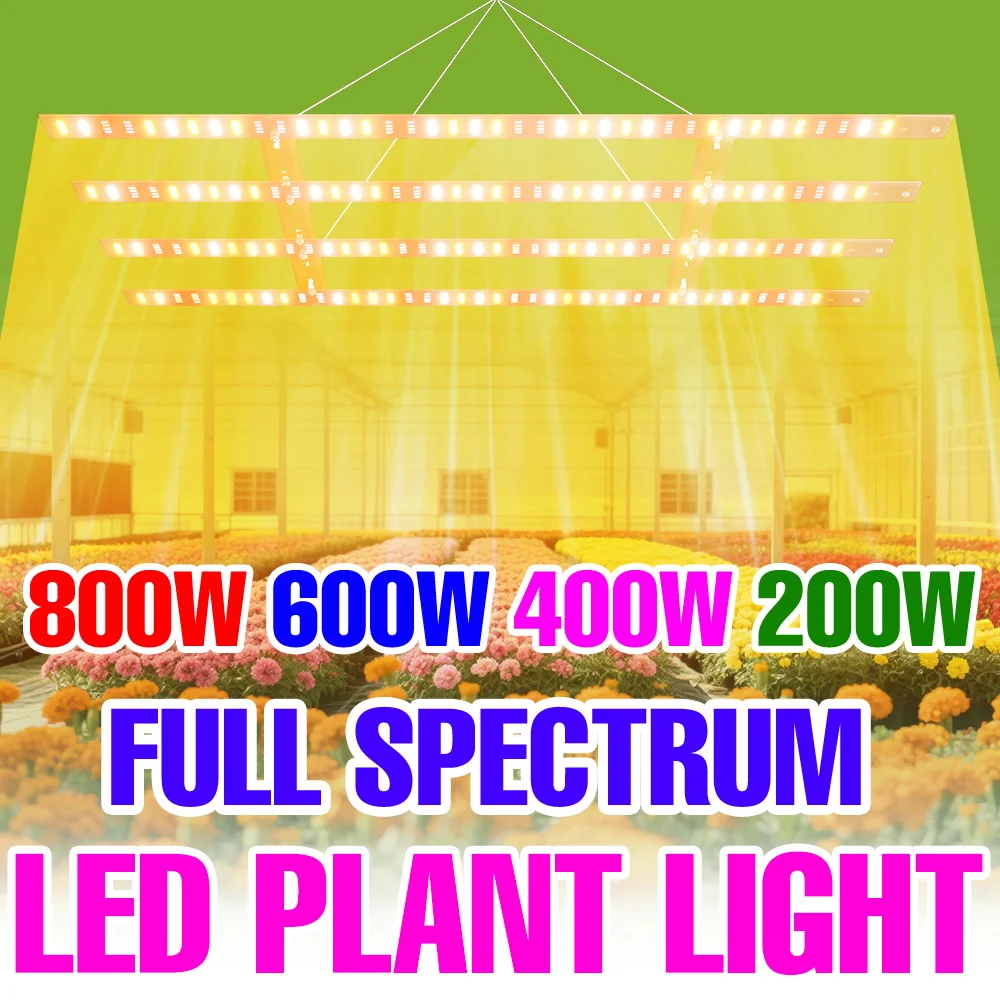 

800W LED Full Spectrum Grow Lamp 220V Quantum Board Plant Fill Light Greenhouse Tent Vegs Hydroponic Seedings Cultivate Lighting
