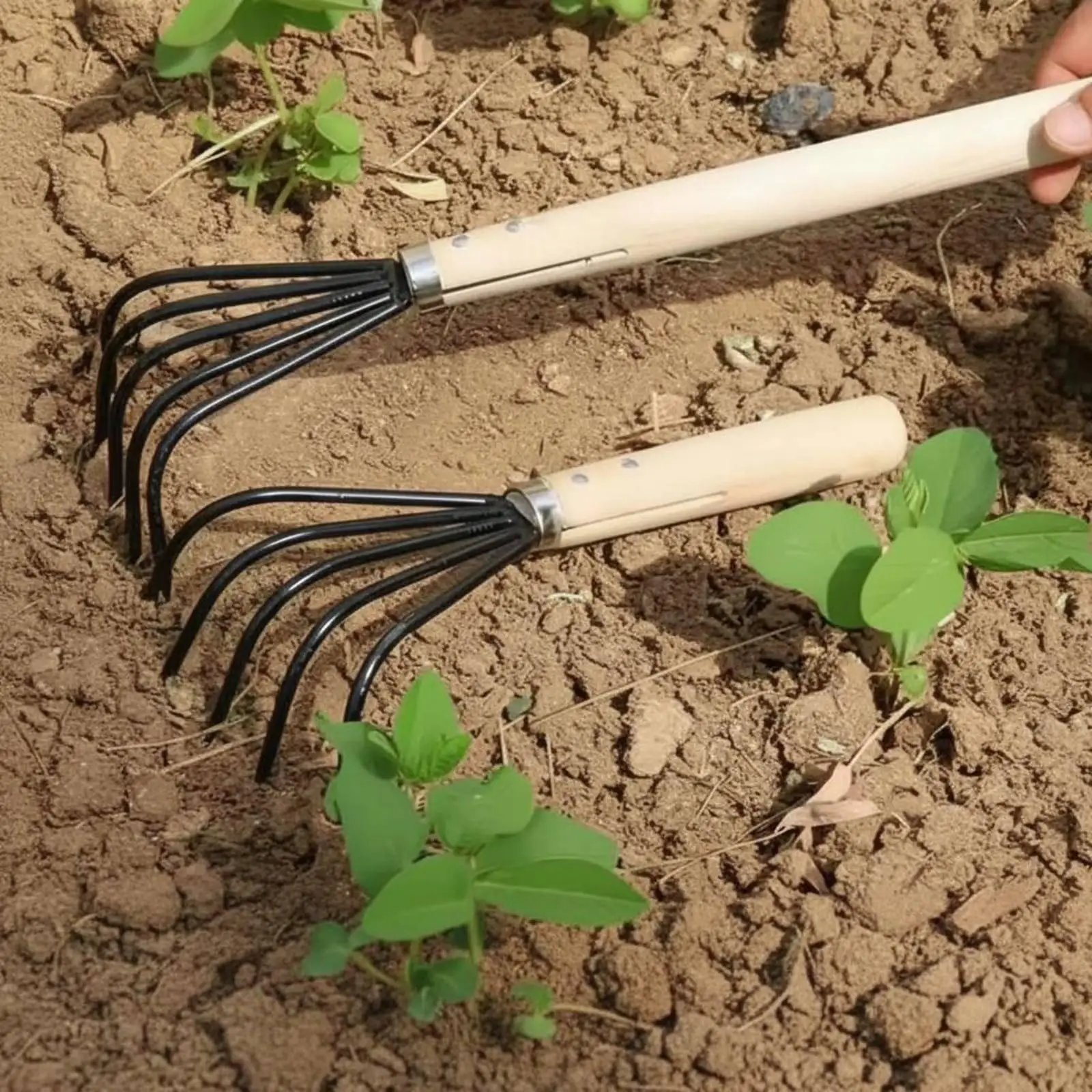 5-Tine Rake Easy to Use Long Handle Rake Long Handle Weeding Tool for Farm, Beach
