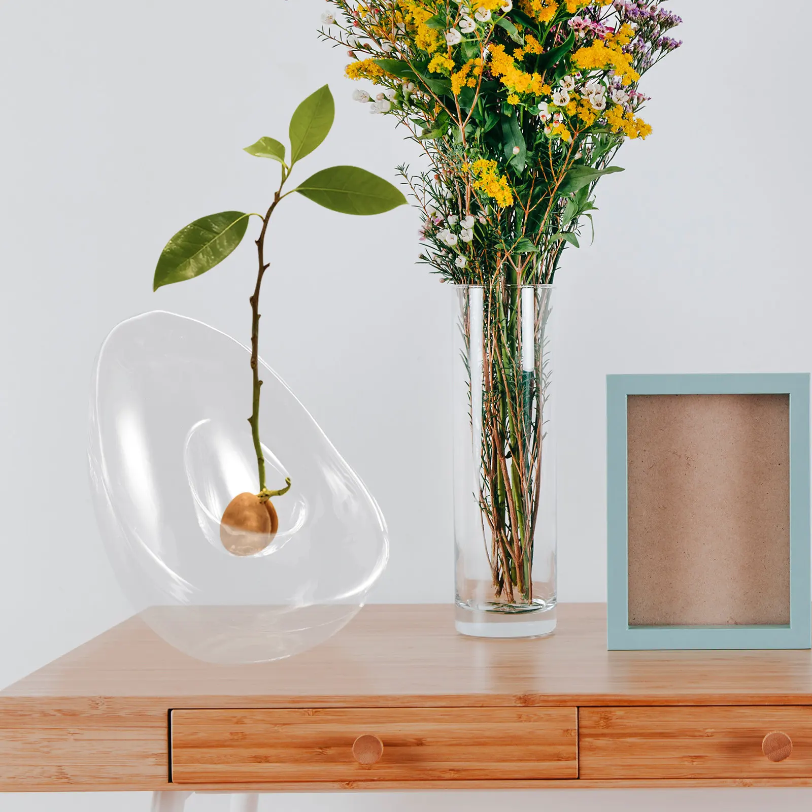 Avocado Hydroponic Glass Vase Transparent Avocado Shaped Flower Vase Tabletop Planter Pot for Root Growth Propagation Home