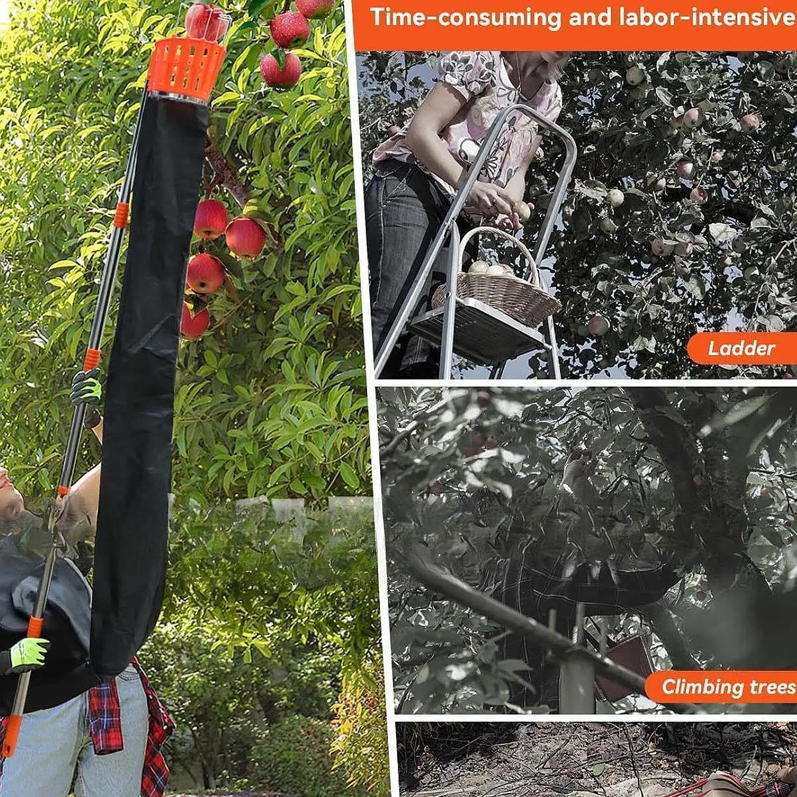 Pólo selecionador de frutas de 13 pés, agarrador de frutas com saco de colheita, ferramentas manuais leves de jardim para manga, colheita contínua de limão