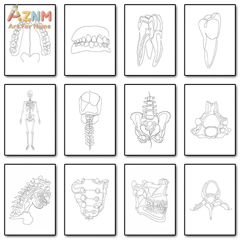 AZNM Minimalist Line Anatomy Canvas Wall Art Human Skeleton Teeth Spine Bone Sketch Print Unframed Canvas Painting for Medical D