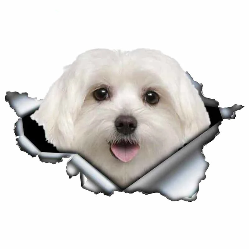 LYKX Lovely Maltese Pet Dog Car Sticker decoración impermeable Window Boot Decal Motorcycle Cover Scratch PVC Decals