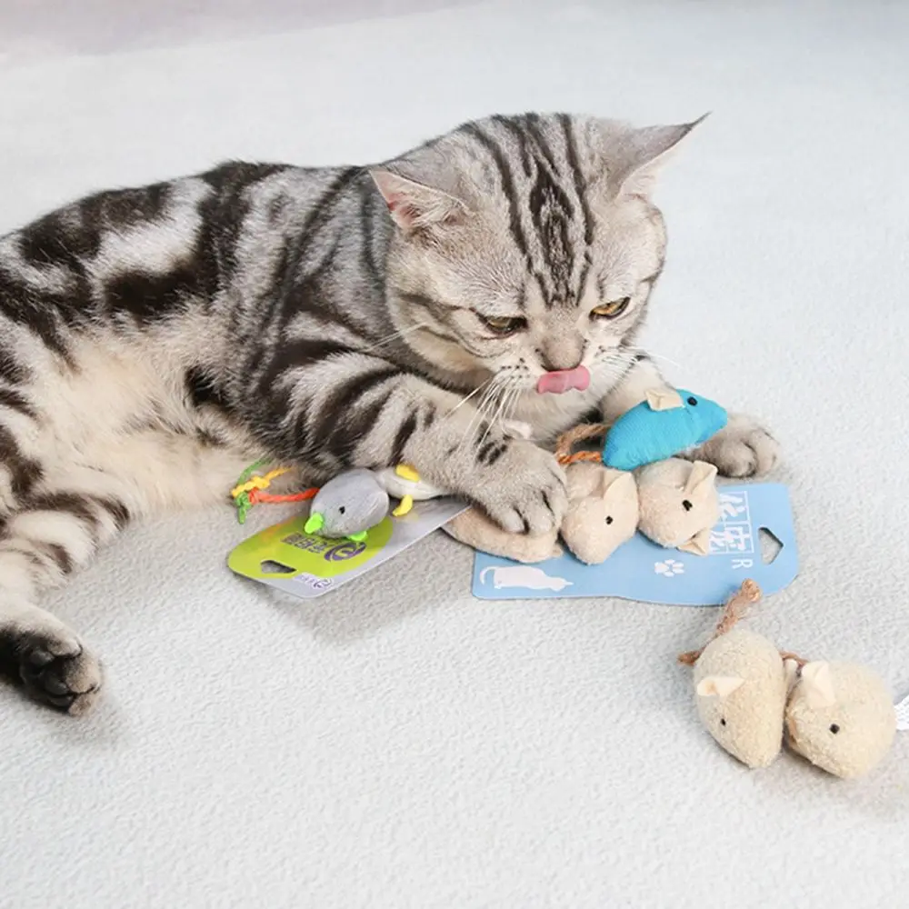 

Cute 3Pcs Training for Indoor Mice for Cat Kitten Interactive Cat Pet Product Teeth Cleaning Tool Cat Toys