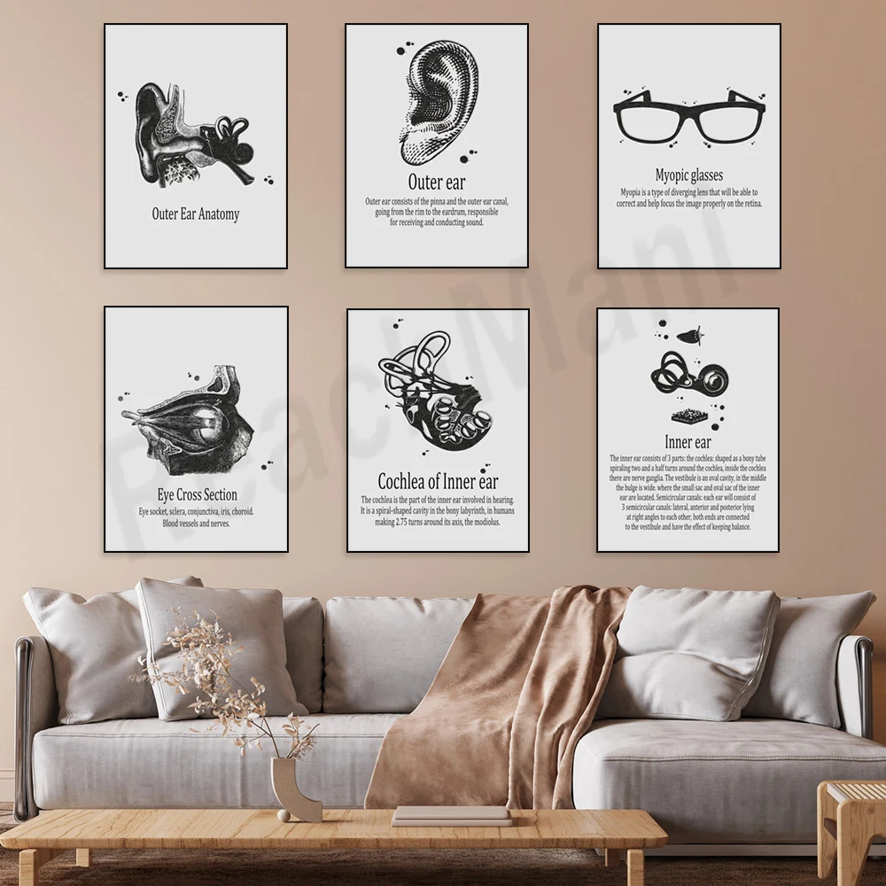 Vintage human eye anatomy, inner ear cochlea, myopia glasses, eye muscles medical educational poster wall art, clinic decoration