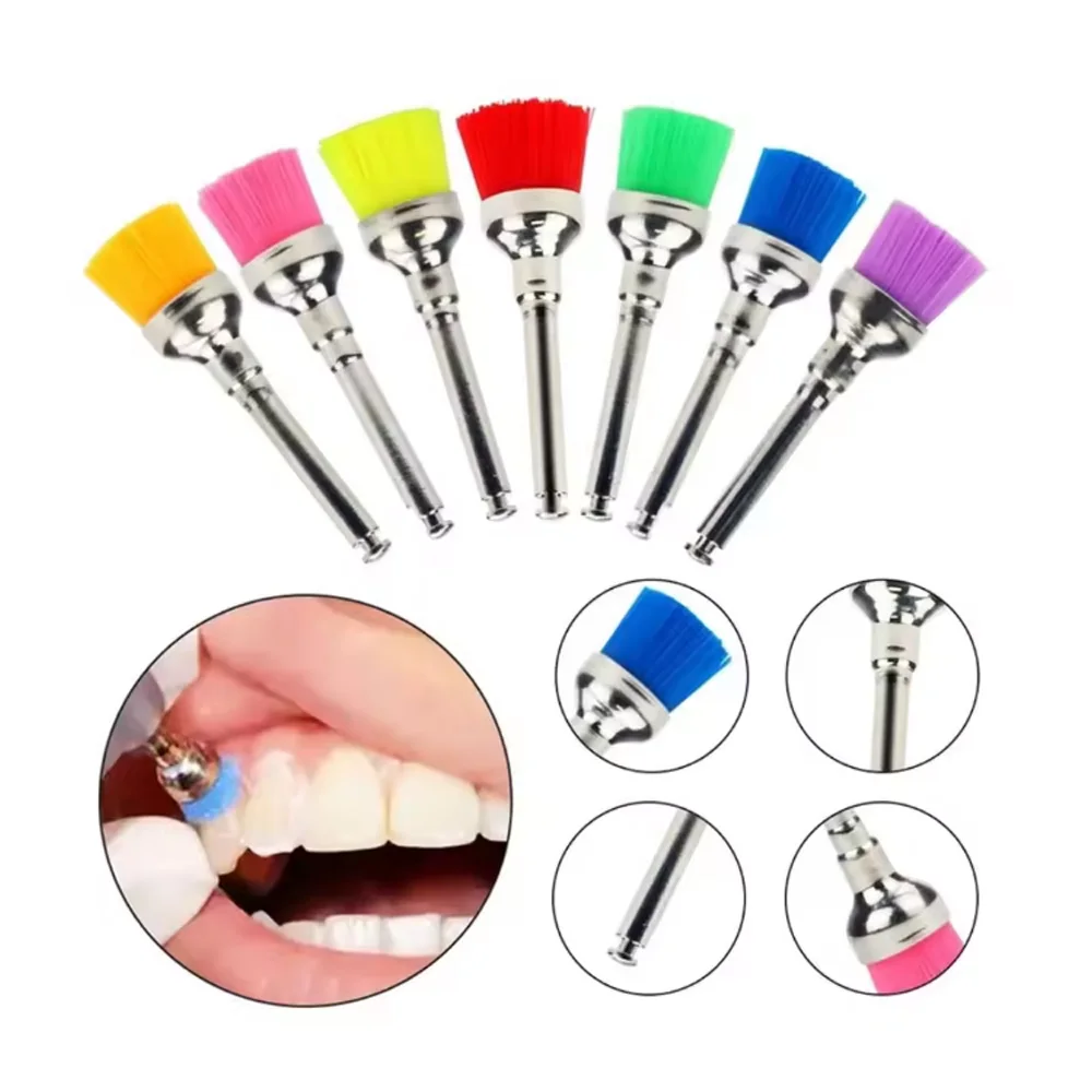 

Dental Polishing Brushes Nylon Prophy Brushes for Teeth Cleaning Low Speed Handpiece Dental Products China