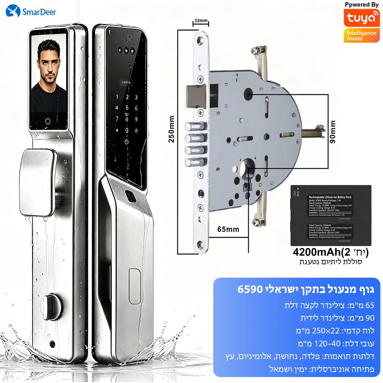 SmarDeer 6590 Israëlische standaard insteekslot, Tuya WiFi 3D Face Palm Vein Lock, IP66 waterdicht, Hebreeuwse ondersteuning