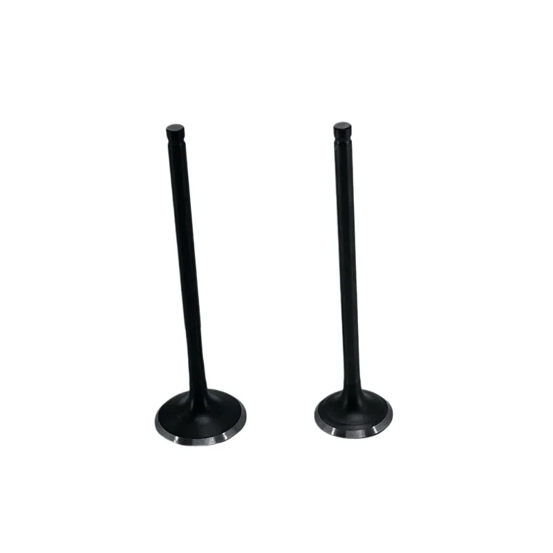 Intake and Exhaust Valve for Wuyang Honda Wh125-18-19-20-3A-15-15A