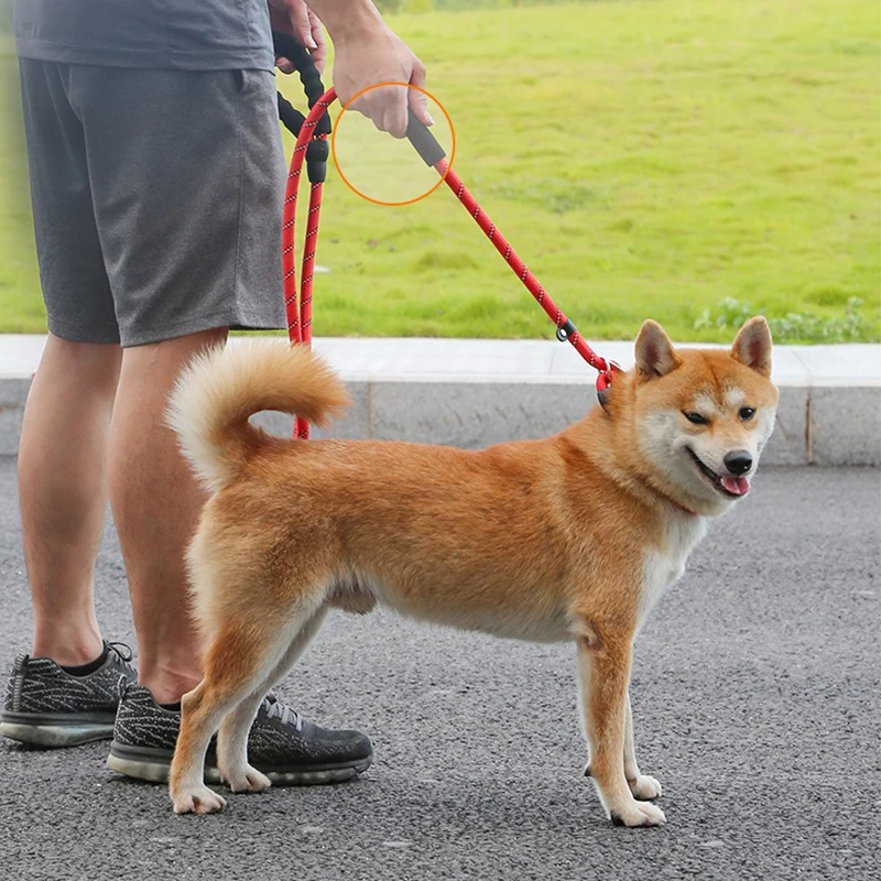 Nylon P Chain for Medium Dogs Anti Break Walking Leash Soft Foam Handle Adjustable Collar Set Durable Shiba Inu Pet Accessories