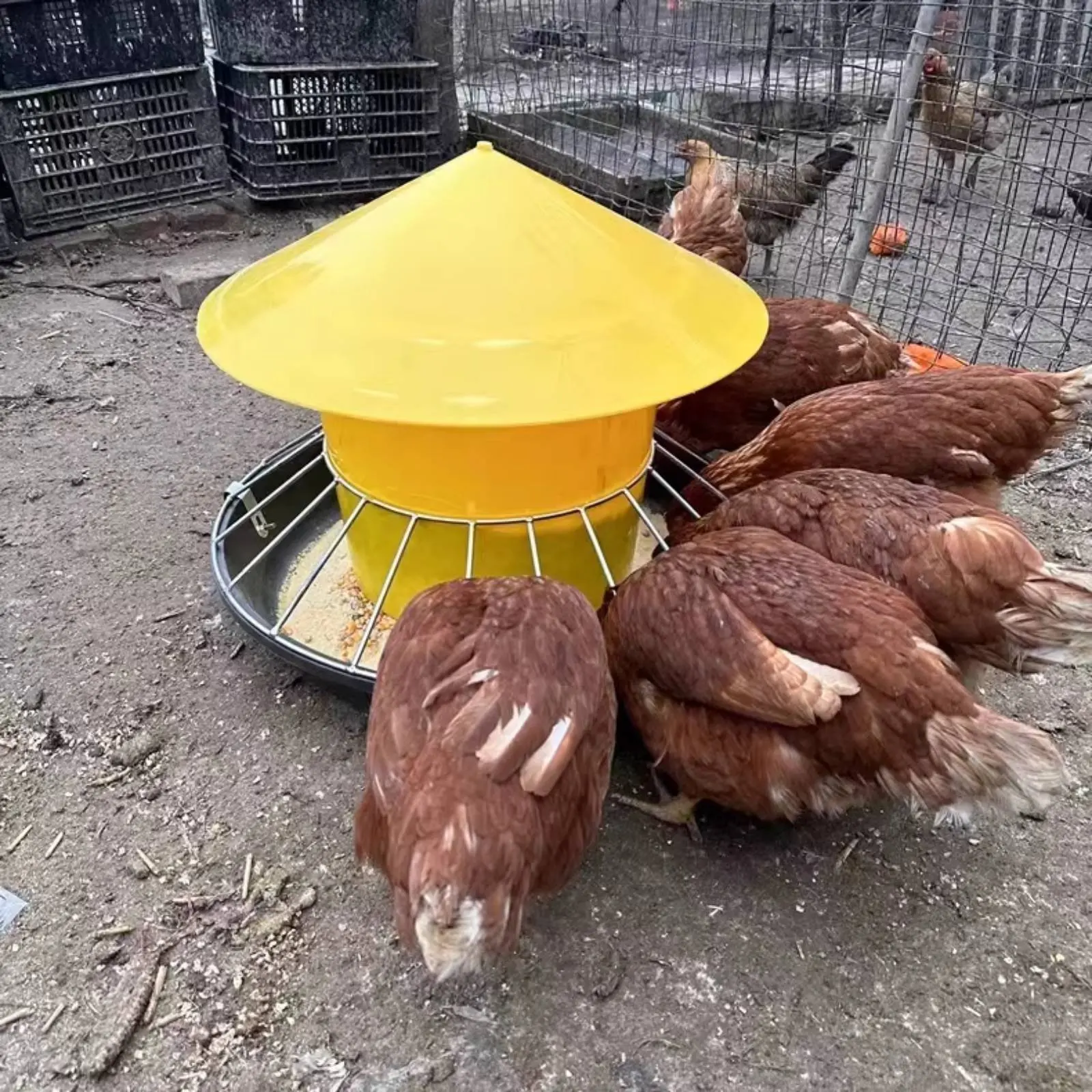 Round Fowl Feeder Large Capacity Fowl Feeder Chicken Feeding Trough Easy Installation Automatic Nourishment Container Anti-Perch view 3
