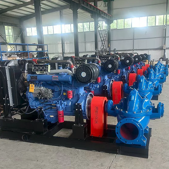 

Industrial High-Pressure Centrifugal Pump with High Flow Double Volute Suction and Split Casing Large Industrial Pump