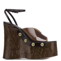 2026 Summer Gladiator Sandals Women Wedges Shoes Transparency Ankle Strap High Heel Thick Bottom Wood Grain Platform Sandals - Image 2