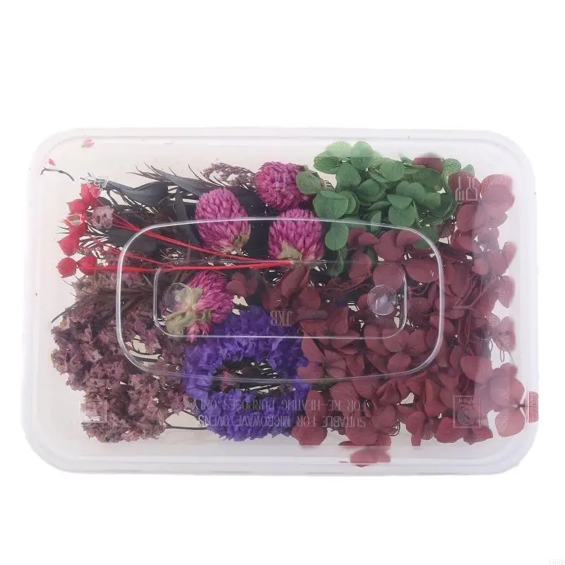 Y88D 1 Caja Real Mix Flores secas para aromaterapia Joyas resina vela Plantas secas Flores prensado Flower Diy Accesor