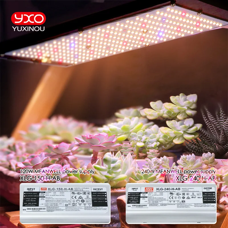 120W 240W Sam-ng LM301h Quantum LED Grow Light Board Lamp IR UV Phytolamp a spettro completo per piante Hydroponics MeanWell Driver