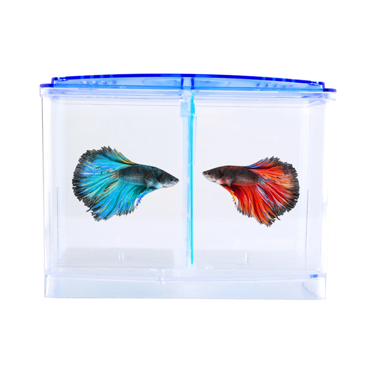 

Fish Hatching Box Breeder Tank for Viviparous Fishes Transparent Cover Juvenile Protection Hatchery Aquarium Breeding Kit