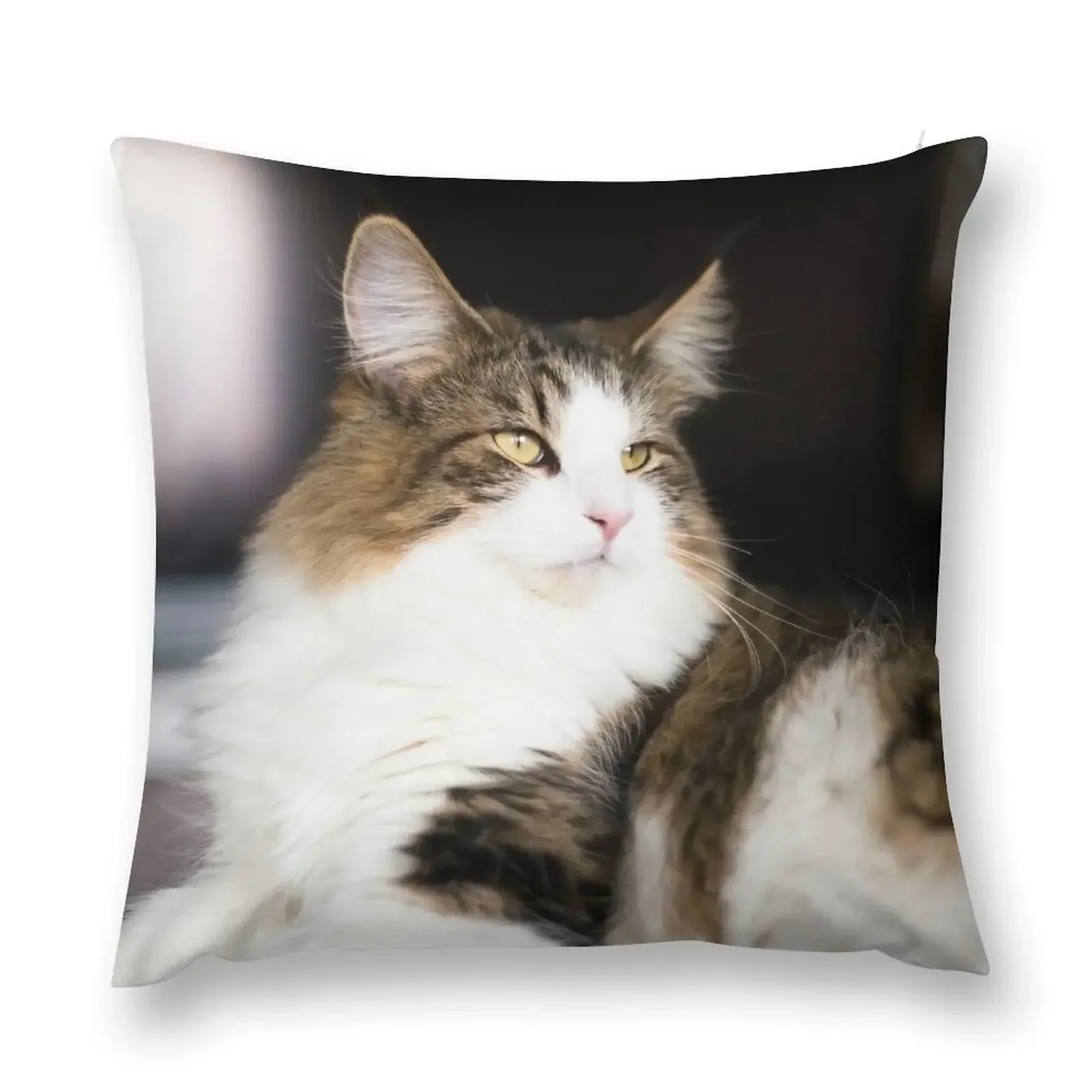 

Norwegian Forest Cat Throw Pillow covers for pillows Pillow Covers Decorative pillow