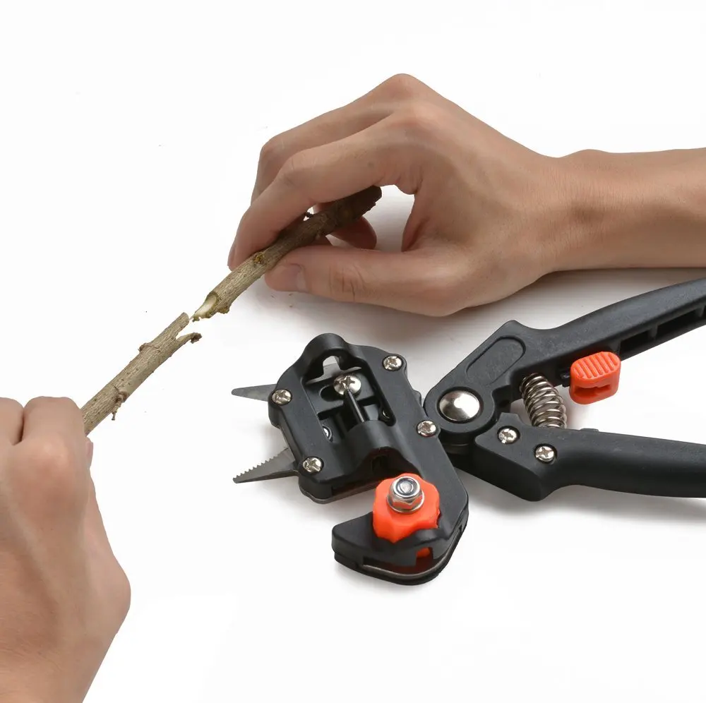 Sécateur de greffage professionnel à 3 lames de type Omega, type V, type U, document noir, ruban inclus