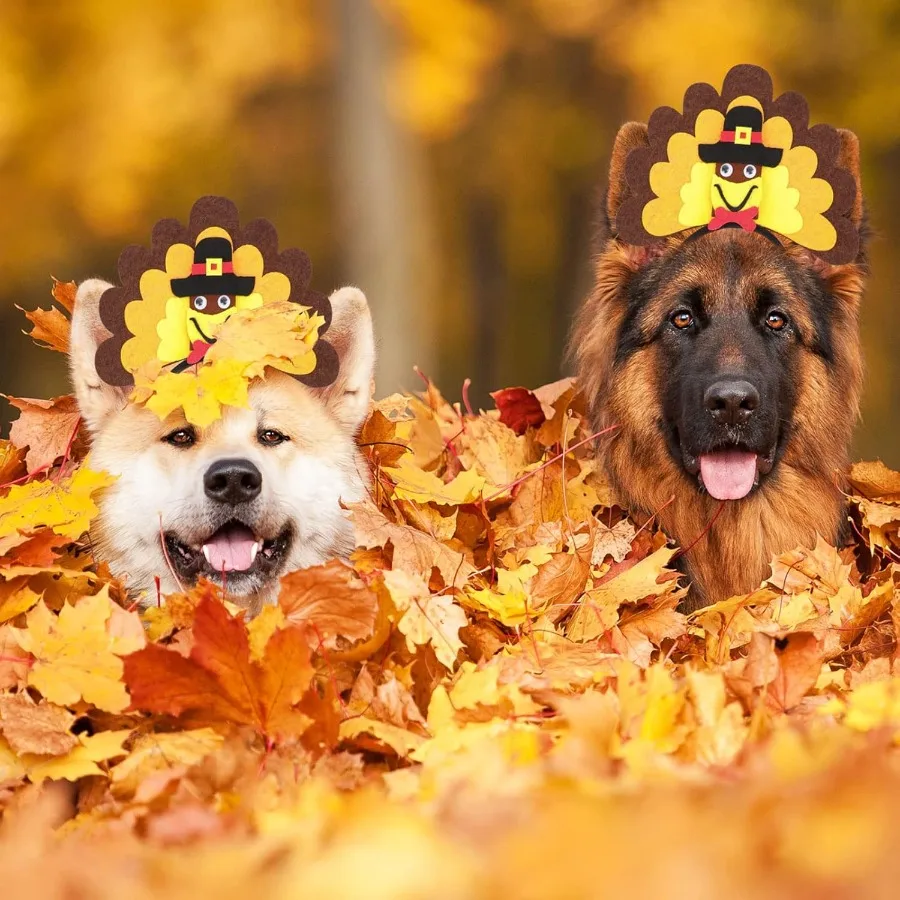 زي عيد الشكر للكلاب الديك الرومي للكلاب المتوسطة والكبيرة #6