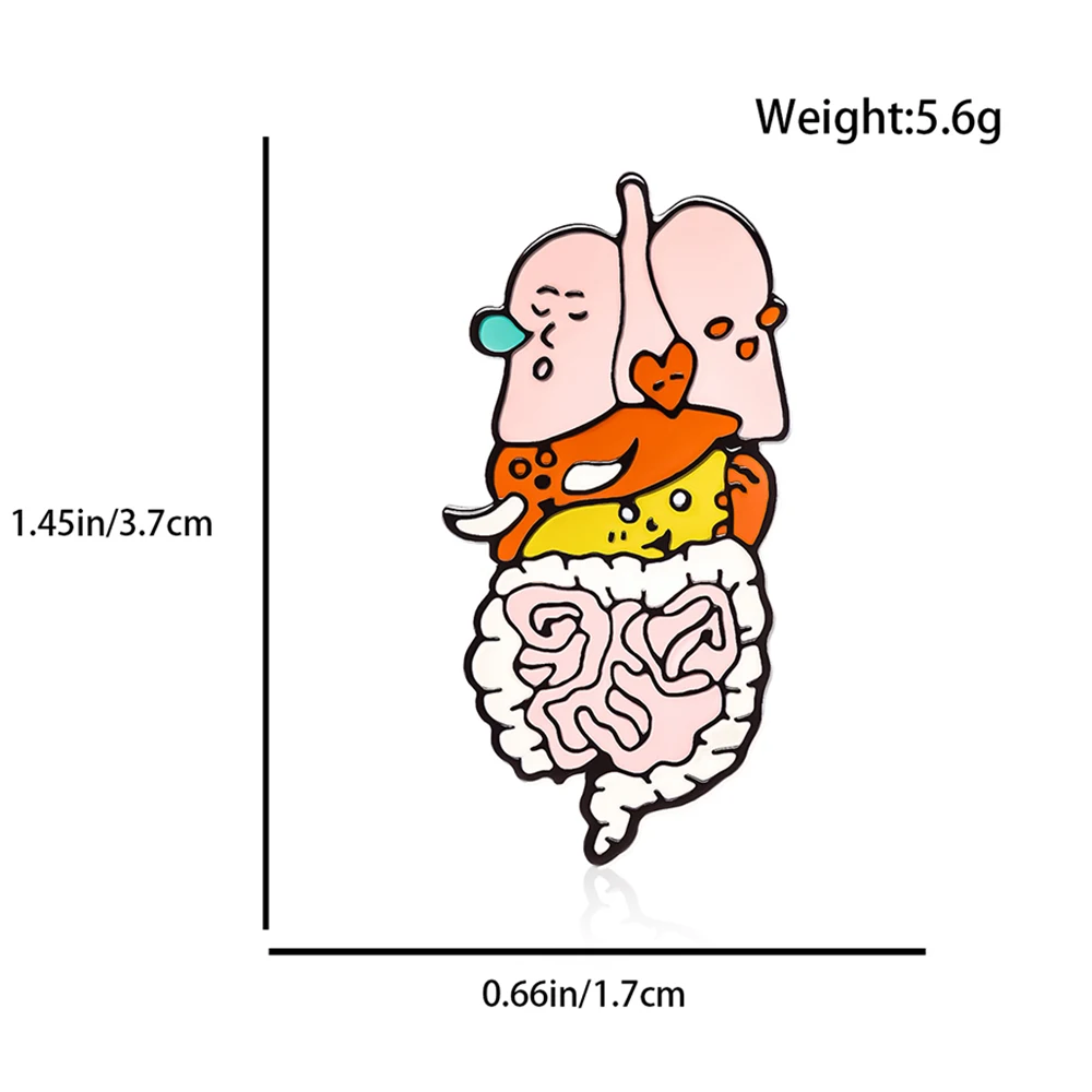 Hanreshe Medical Anatomy Organ Enamel Pin Funny Lapel Backpack Kidney Badge Biology Medicine Jewelry for Anatomist Doctor Nurse