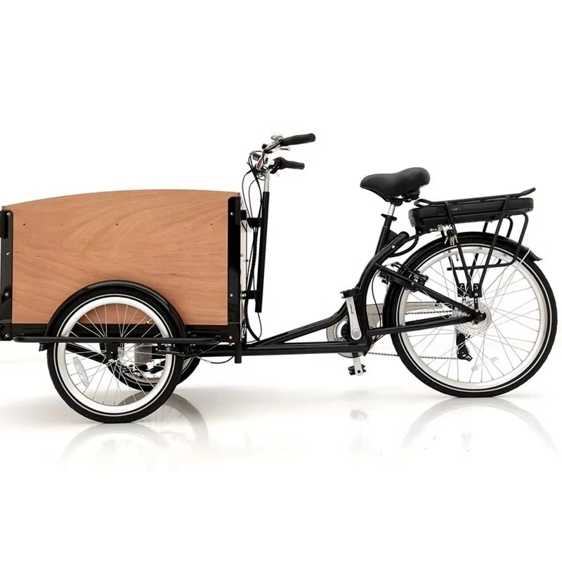 Electric Tricycle, Pet Dog Cargo Trailer, Wooden Box, Three-Wheel Electric Bike, Family Cargo Bicycle, High Quality