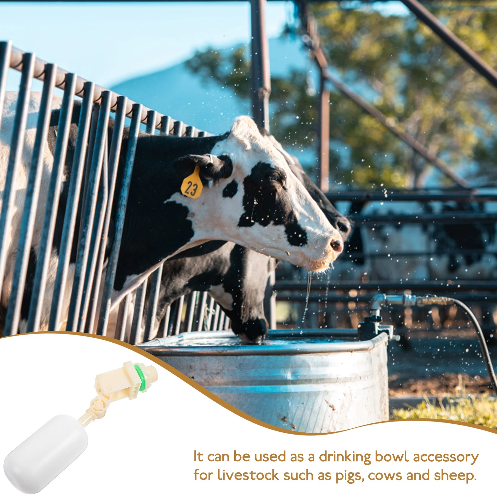 

Reusable PVC Float Ball Valve Water Bowl Float Valve for Livestock Automatic Water Level Controller Drinking Bowl Accessory Farm