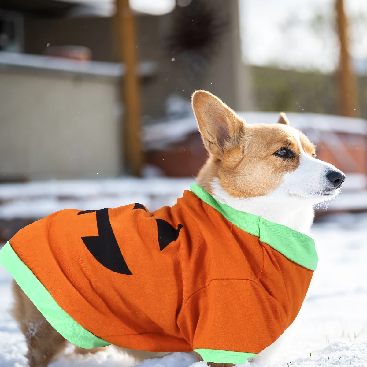 

Pet Outfits for Dogs Pumpkin Design Vest Comfortable Texture for Hot Flashes Outdoor Halloween Pet Costume Halloween Dog Clothes