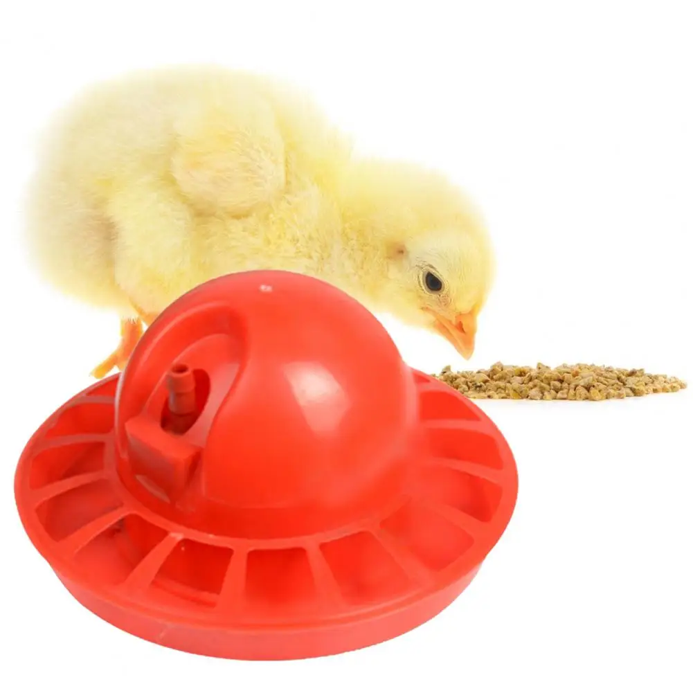 Chick Drinking Bowl High Capacity Poultry Water Drinker Automatic Water Feeder Plastic Detachable Poultry Waterer for Pet