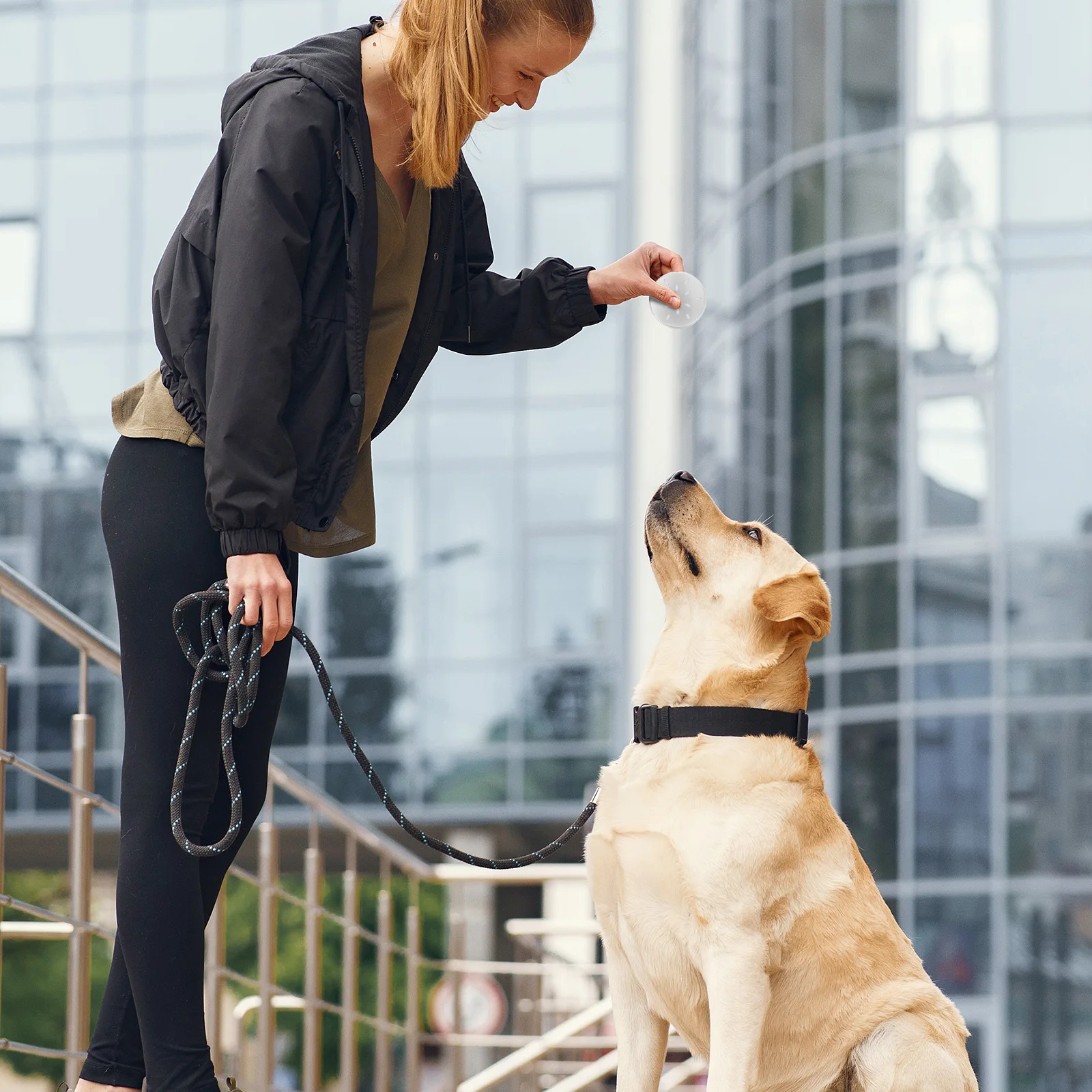 

10pcs Dog Aluminum Snuffle Training Tool For Dogs Mental Stimulation Aroma Holder Odor Training Case Dog Nose Work Kit