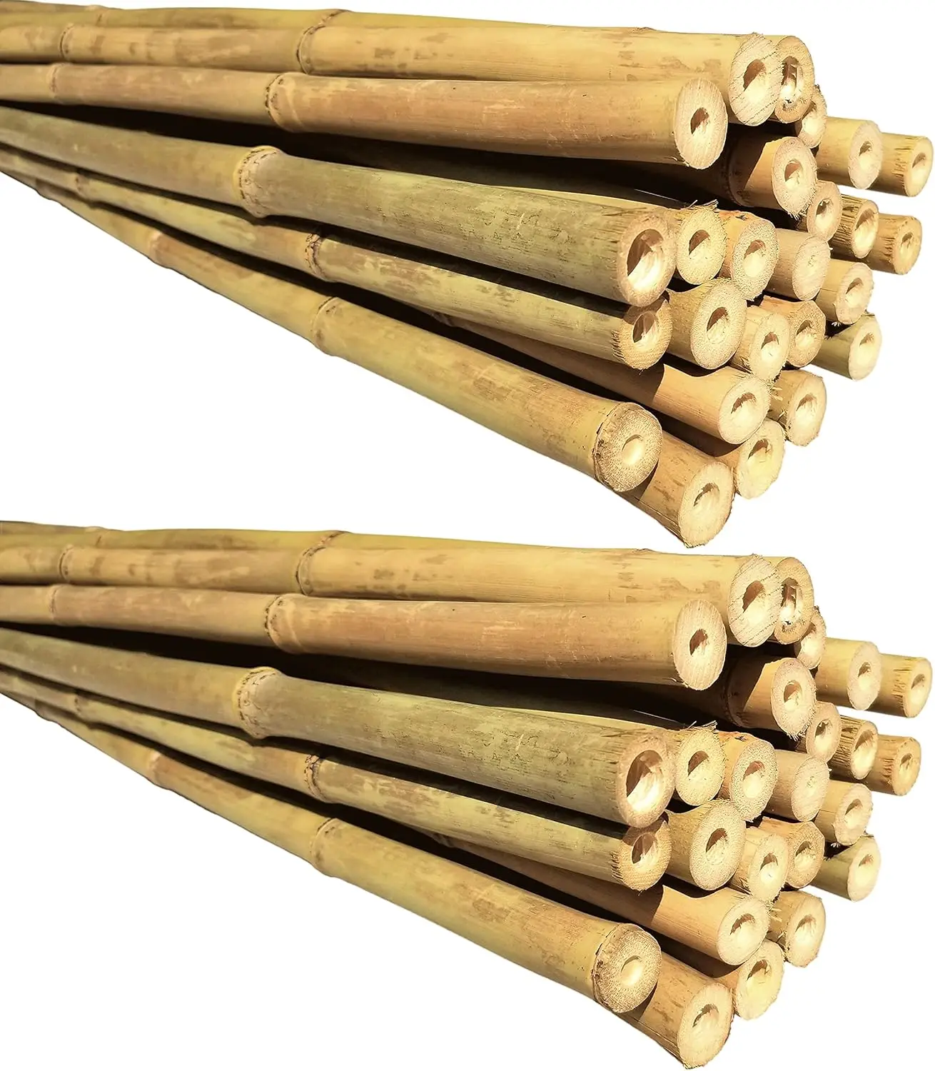

Natural Bamboo Poles 6ft Long, 5/8" Diameter Garden Stakes for Plant Support, 50-Pack