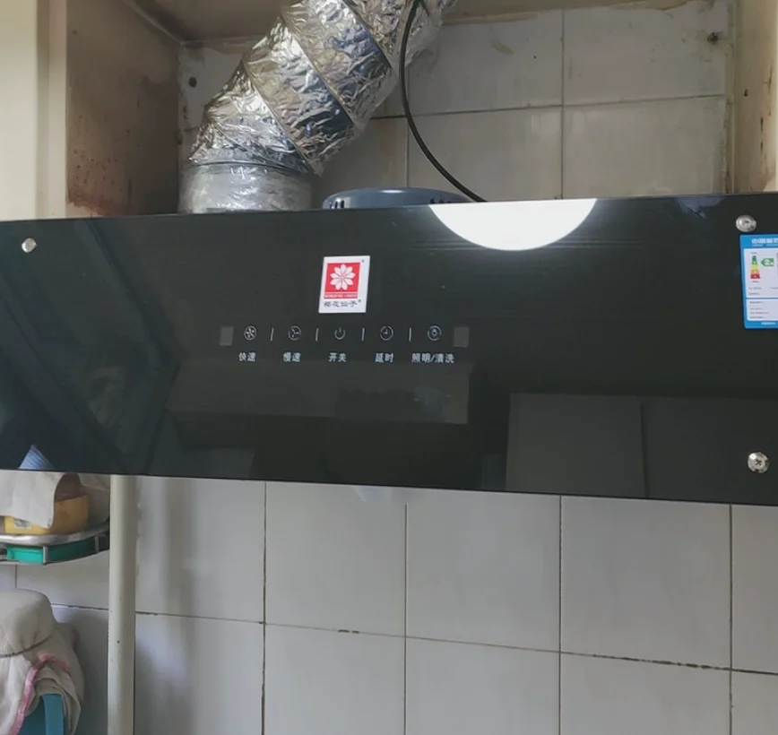 220V Goodwife High Power Range Hood Kitchen Ventilation Chinese Style Top Suction DC