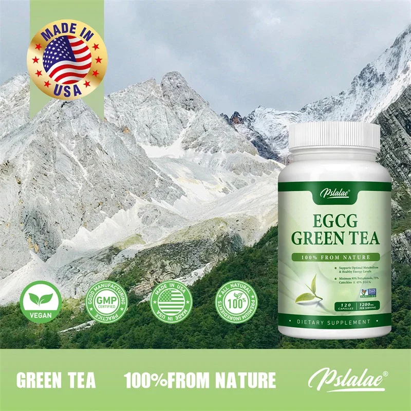 EGCG groene thee-extract - verhoogt het metabolisme en ondersteunt een gezonde vetverbranding, verhoging van energie en focus