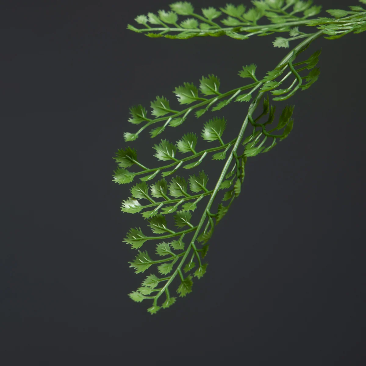 88 cm 18 Gabeln große gefälschte Palmenpflanzen künstliche Monstera-Kunststoff-Farnblätter künstlicher Palmenzweig für Hausgarten-Party-Dekoration – Detail 10