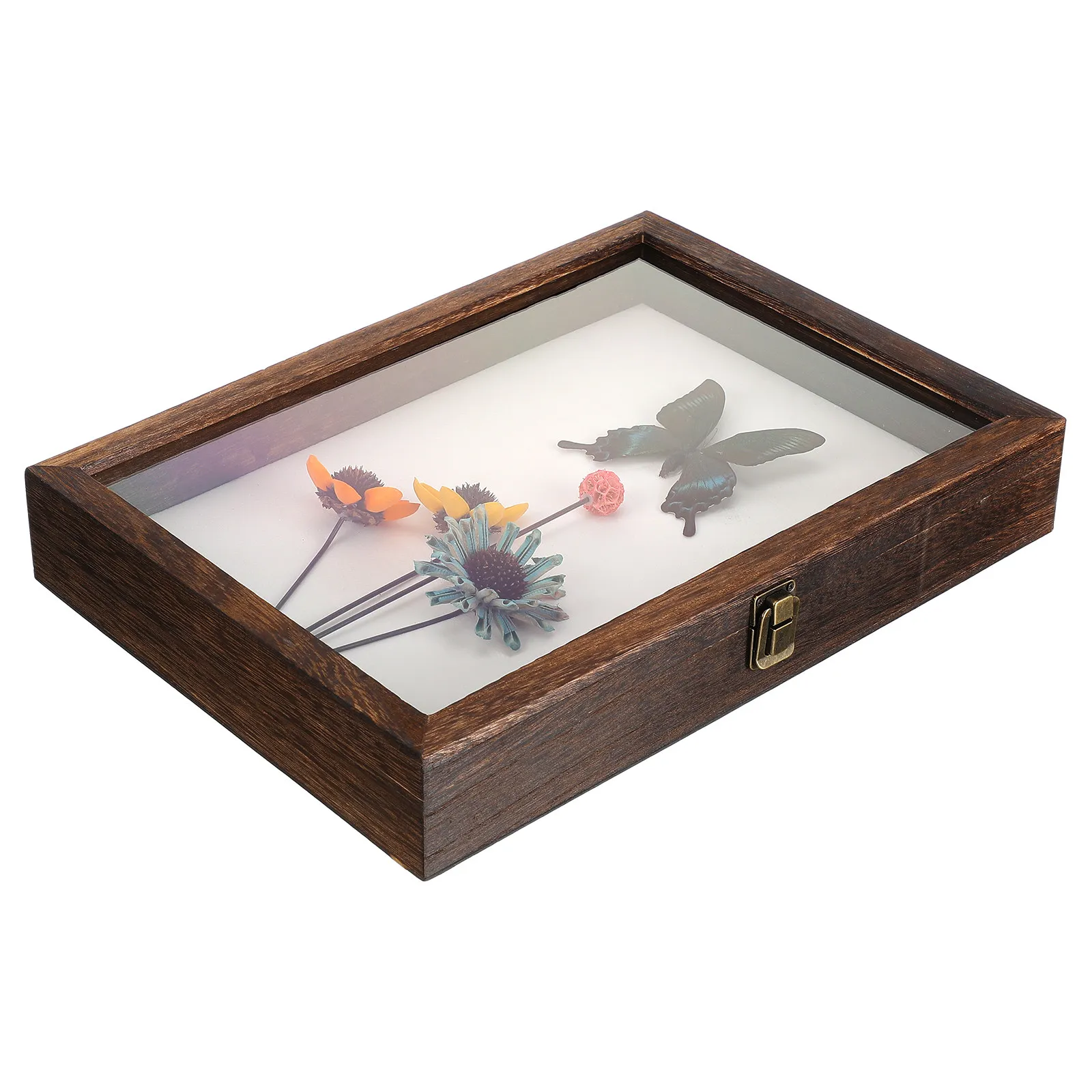 Specimen Frame Case High-Quality Wood Acrylic Clear Cover Large Capacity Multi-Functional Display Box Specimen Container Shadow