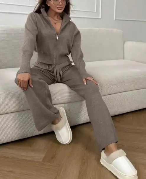 Tweedelige set damesoutfit 2025 herfst winter nieuwe commuter dubbele rits lange mouw gebreide top en hoge taille casual broek set