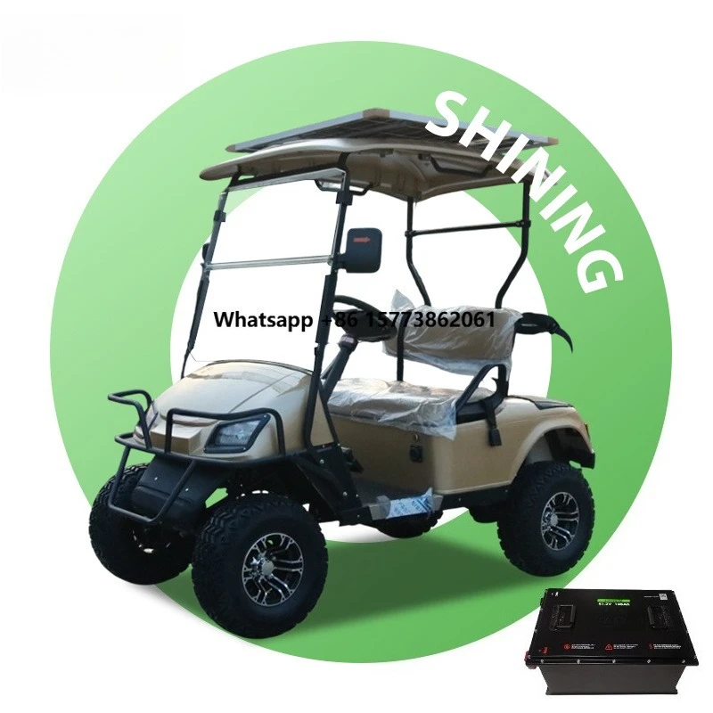 lsv Custom Colors 2 Seat Electric Lithium Battery Street Legal Golf Cart with Solar Panels