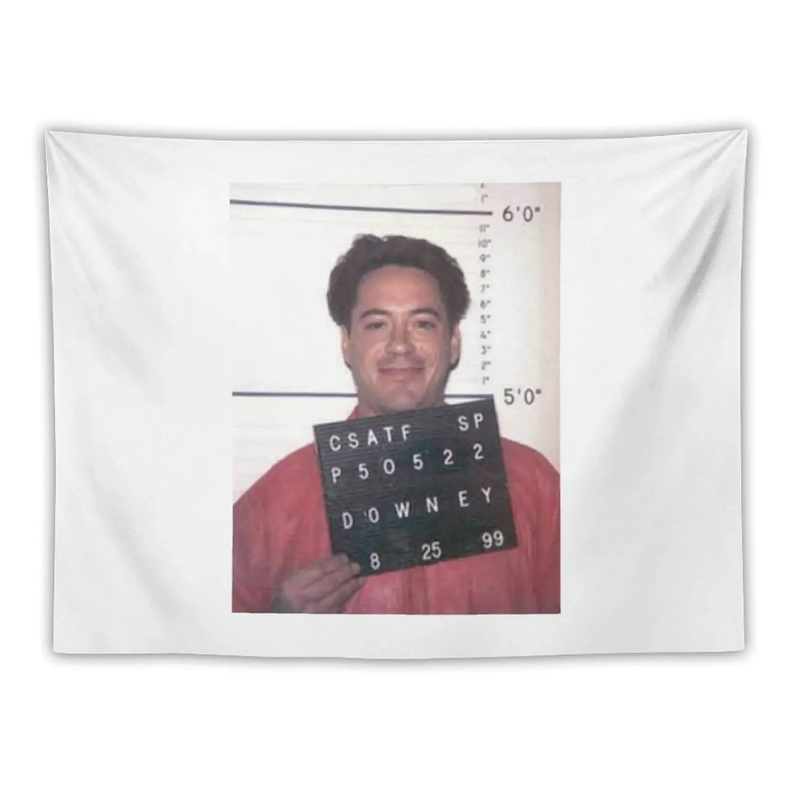 robert downey jr. mugshot Tapestry Funny Decoration Aesthetic Tapestry