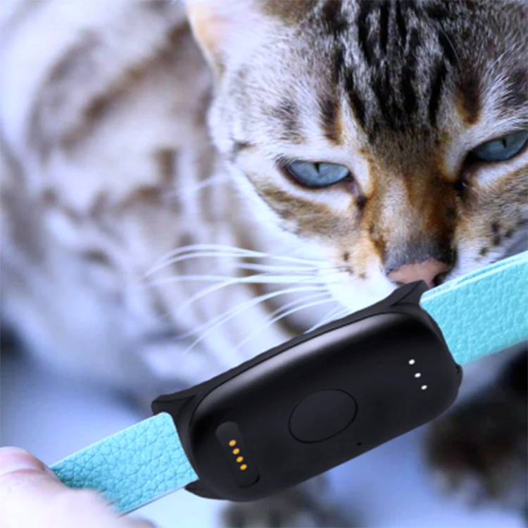 

Multi-function Locator Pet Cat Anti-lost Device GPS Collars Dog Activity Monitoring 4g Pet Gps tracker