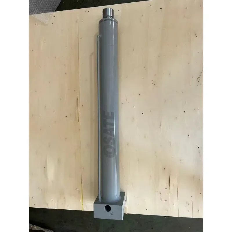 Hydraulic Cylinder 650-80/63 251409007 for Putzmeister Pump Mounting Parts TRDI