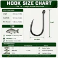 Size 15