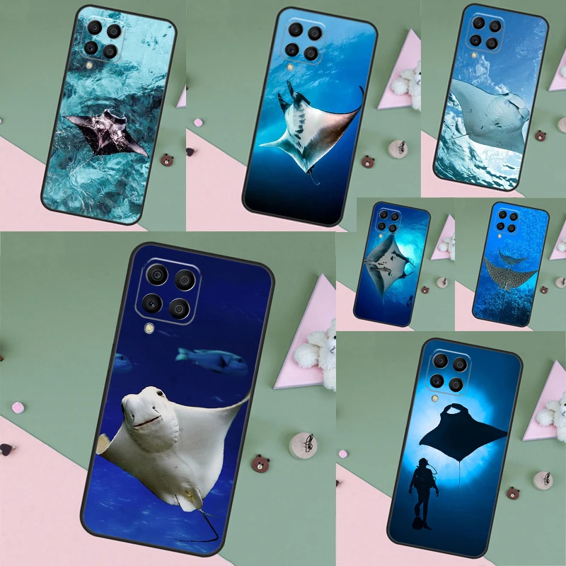 Animal Manta Ray Fo…